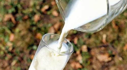 Eskişehir'de süt krizi kapıda mı? Üretici o fiyatı beğenmedi
