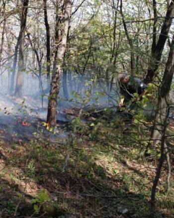 Uludağ Eteklerinde Çıkan Yangını Söndürme Çalışmaları Paylaşıldı