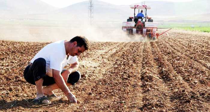 Eskişehir’e 143 çiftçiye 4 milyon 290 bin lira
