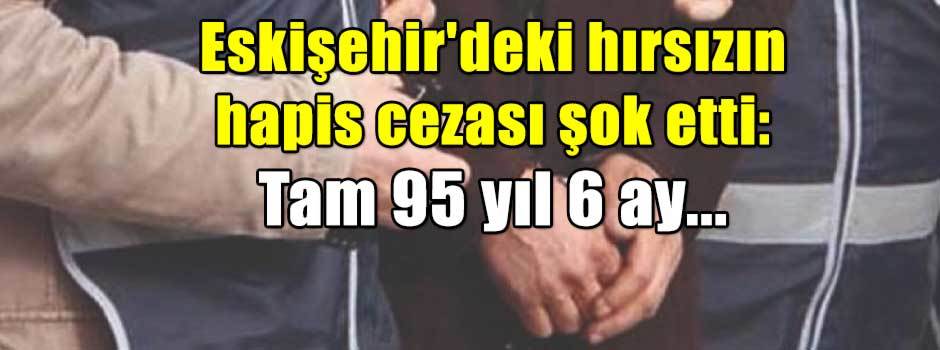 Eskişehir'deki hırsızın hapis cezası şok etti: Tam 95 yıl 6 ay...
